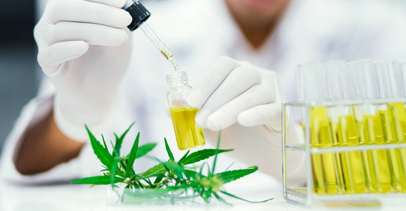 Laborgeprüfte moderne Edibles und sichere Cannabis Genussartikel für bewussten Konsum