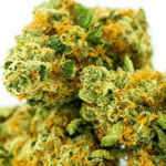 Super Lemon Haze Cannabis Blüte mit glitzernden Trichomen und intensivem Zitrus Aroma von Premium THC Store