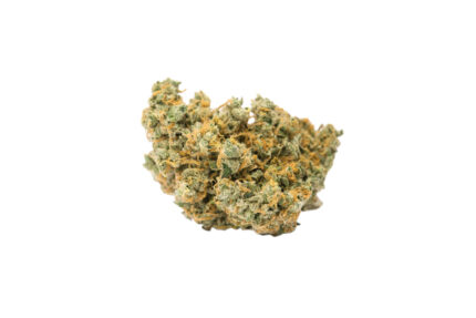 Jack Herer - Image 3