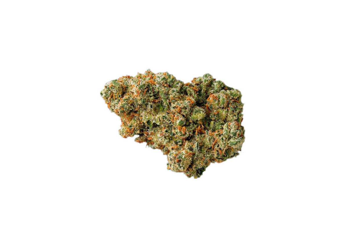 Jack Herer